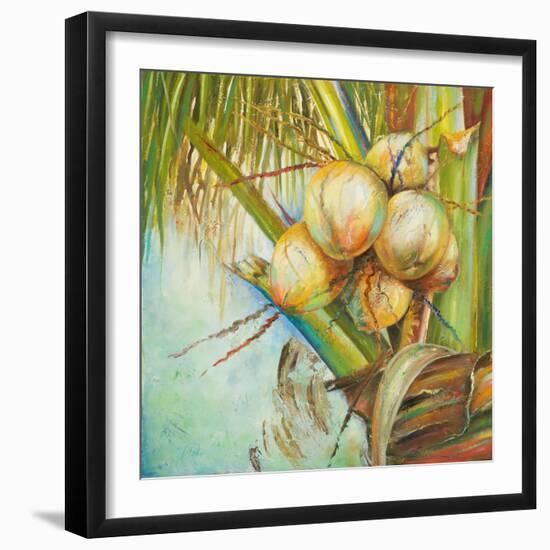 Patricia's Coconuts II-Patricia Pinto-Framed Art Print