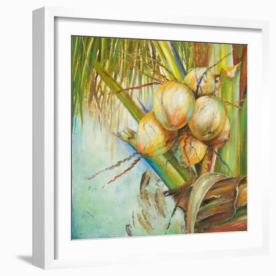 Patricia's Coconuts II-Patricia Pinto-Framed Art Print