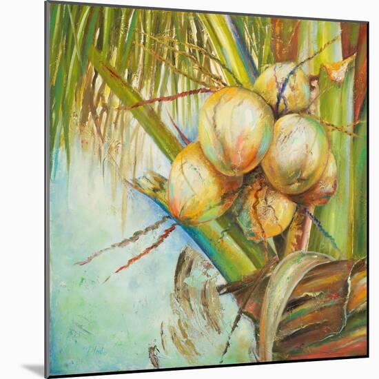 Patricia's Coconuts II-Patricia Pinto-Mounted Art Print