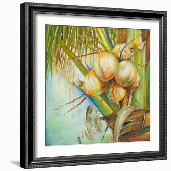 Patricia's Coconuts II-Patricia Pinto-Framed Art Print