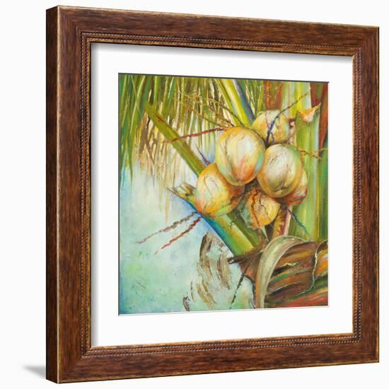 Patricia's Coconuts II-Patricia Pinto-Framed Art Print