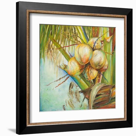 Patricia's Coconuts II-Patricia Pinto-Framed Art Print