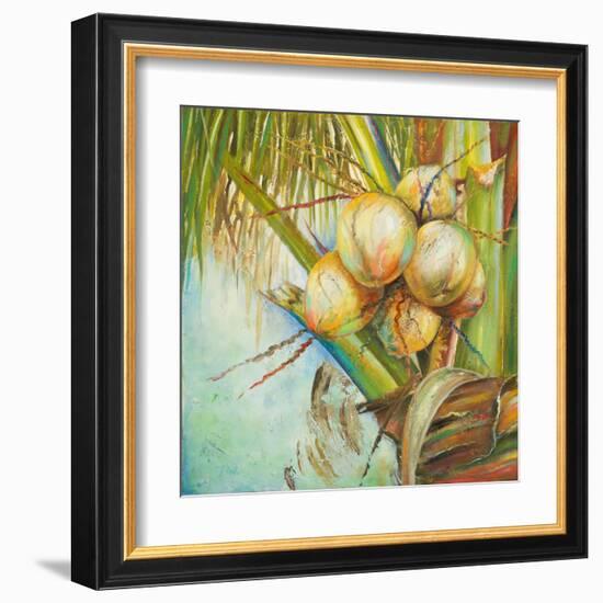 Patricia's Coconuts II-Patricia Pinto-Framed Art Print