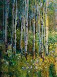 Aspens in Spring-Patrick-Giclee Print