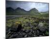 Photographic Print