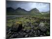 Photographic Print