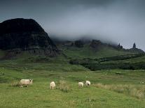 Callanish Standing Stones, Isle of Lewis, Outer Hebrides, Scotland-Patrick Dieudonne-Photographic Print