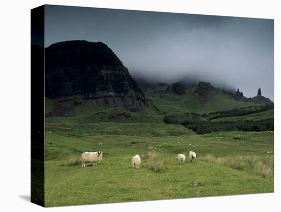 Stretched Canvas Print, , large