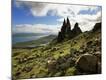 Photographic Print