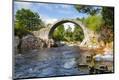 Photographic Print