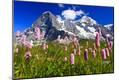 Photographic Print