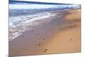 Premium Photographic Print