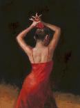Flamenco II-Patrick Mcgannon-Art Print