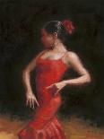 Flamenco I-Patrick Mcgannon-Art Print