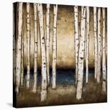 Winter Solace-Patrick St^ Germain-Stretched Canvas