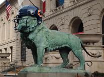 Chicago Bears Helmet On Lion-Patrick Warneka-Photographic Print