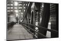 Photographic Print