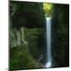 Premium Photographic Print