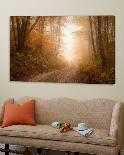 Spring Fog-Patrick Zephyr-Framed Photographic Print