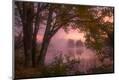 Premium Photographic Print