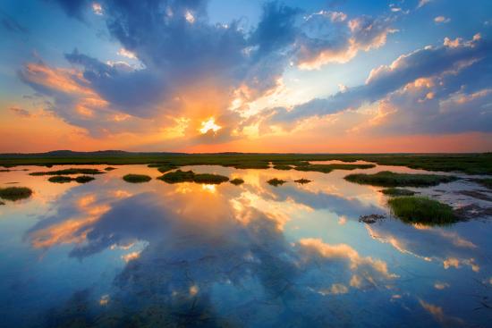 Photographic Print, , large