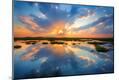Photographic Print