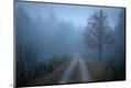 Premium Photographic Print