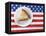 Patriotic apple pie-Fancy-Framed Premier Image Canvas