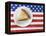 Patriotic apple pie-Fancy-Framed Premier Image Canvas