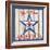 Patriotic Barn Star II-Paul Brent-Framed Art Print