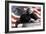 Patriotic Blonde-Robert Everson-Framed Premium Giclee Print