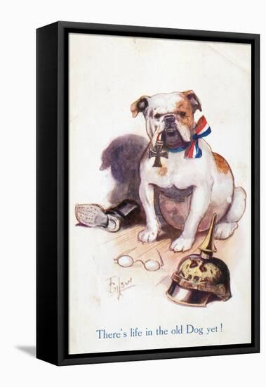 Patriotic British Bulldog, There's Life in the Old Dog Yet!-null-Framed Stretched Canvas