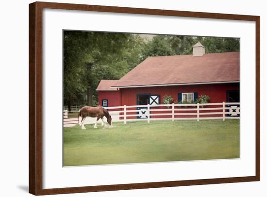 Patriotic Pony II-Elizabeth Urquhart-Framed Photo