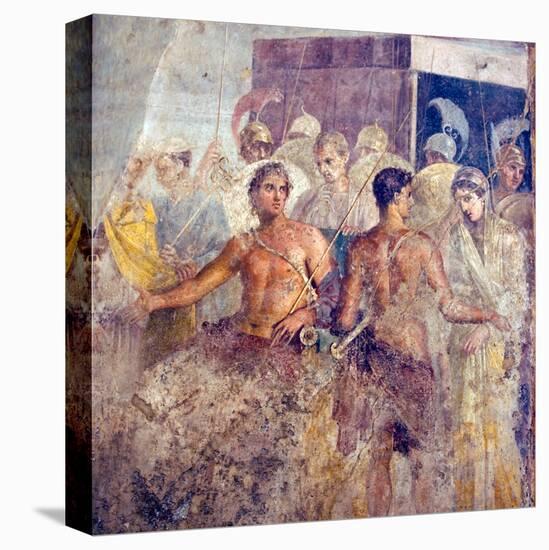 Stretched Canvas Print, , large
