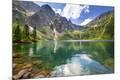 Photographic Print