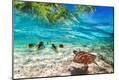 Photographic Print