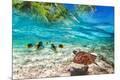 Photographic Print