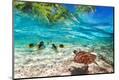 Photographic Print