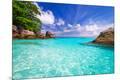 Photographic Print