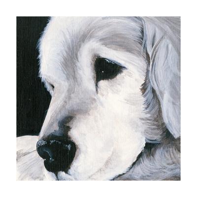Dakota II Poster Print by Patsy Ducklow 24 x 24