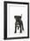 Patterdale Cross Terrier-null-Framed Photographic Print