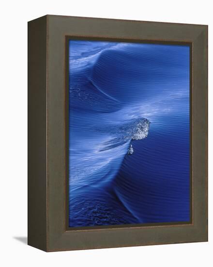 Pattern from Wake Behind Boat, Inside Passage, Alaska, USA-Nancy Rotenberg-Framed Premier Image Canvas