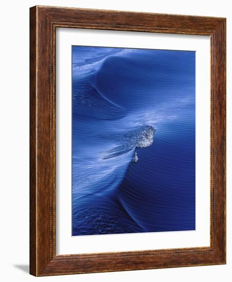 Pattern from Wake Behind Boat, Inside Passage, Alaska, USA-Nancy Rotenberg-Framed Photographic Print