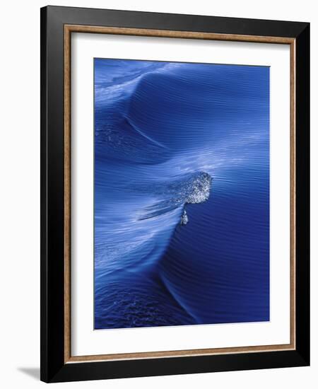 Pattern from Wake Behind Boat, Inside Passage, Alaska, USA-Nancy Rotenberg-Framed Photographic Print