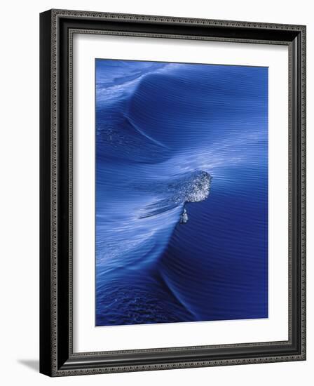 Pattern from Wake Behind Boat, Inside Passage, Alaska, USA-Nancy Rotenberg-Framed Photographic Print