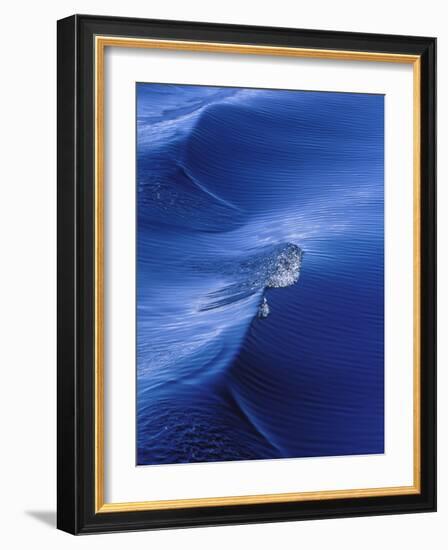 Pattern from Wake Behind Boat, Inside Passage, Alaska, USA-Nancy Rotenberg-Framed Photographic Print