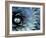 Pattern in Agave Cactus-Adam Jones-Framed Photographic Print