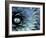 Pattern in Agave Cactus-Adam Jones-Framed Photographic Print