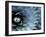 Pattern in Agave Cactus-Adam Jones-Framed Photographic Print