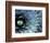 Pattern in Agave Cactus-Adam Jones-Framed Photographic Print